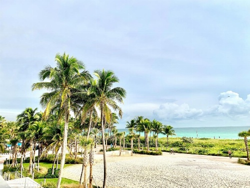 BROADMORE MIAMI BEACH image 24